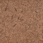 Hardboard